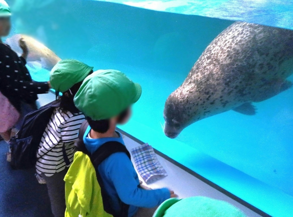 どんぐり保育室　バス遠足～サンピアザ水族館～