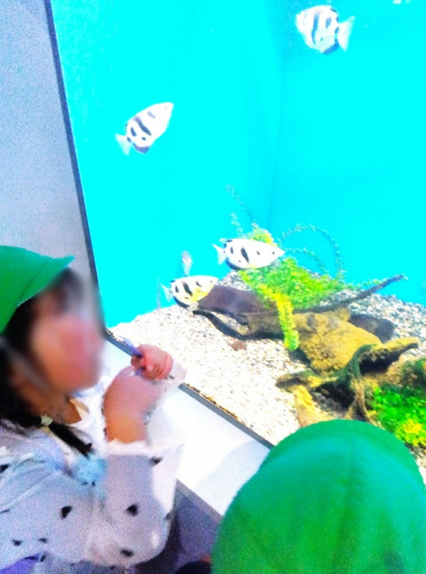 どんぐり保育室 バス遠足~サンピアザ水族館~