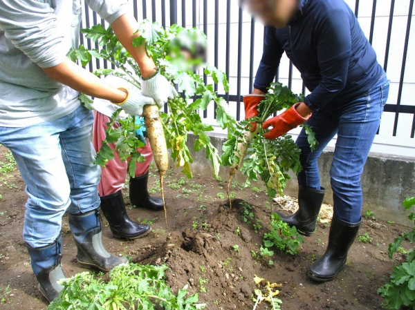 １階デイナイトケア『デイケア：農耕の作物でスイーツ作り』