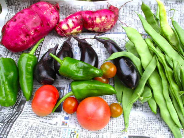 １階デイナイトケア『デイケア：農耕の作物でスイーツ作り』