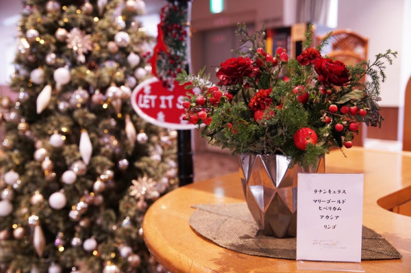 外来ロビーのクリスマス飾りつけを行いました
