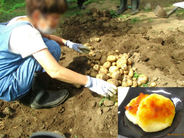１階デイナイトケア『デイケア：収穫した作物で料理を作って楽しみました！』